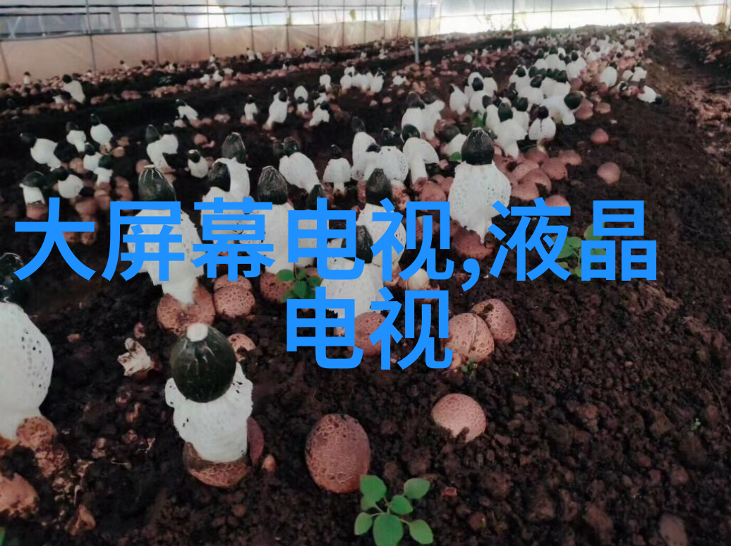 HW插入式智能电磁流量计 泥浆电磁流量计